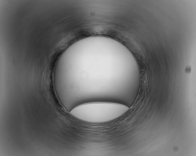 X0000102820746200808181024