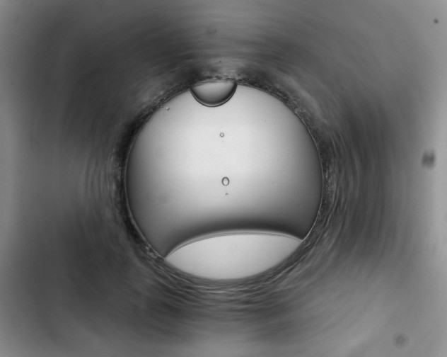 X0000102820747200808181024