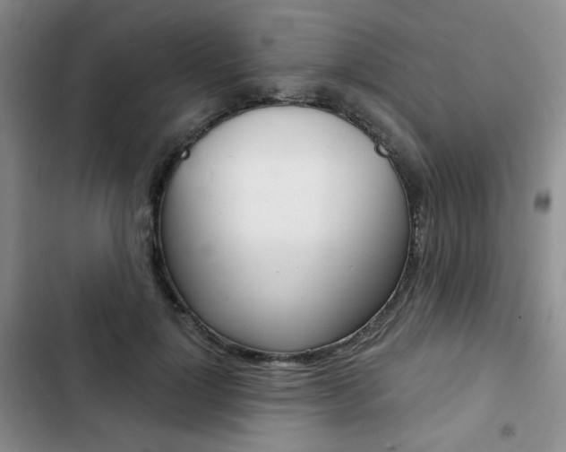 X0000102820748200808181024