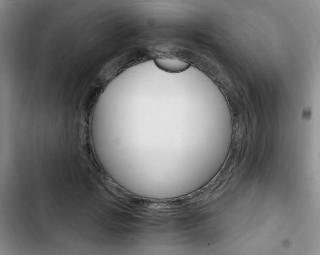 X0000102820749200808181024
