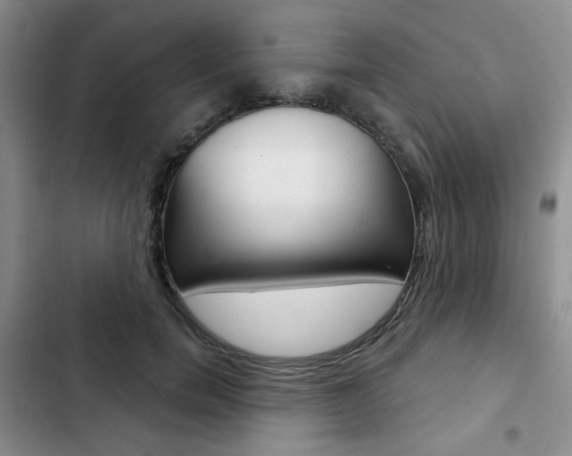 X0000102820750200808181024