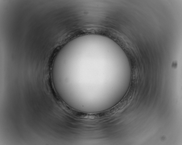 X0000102820751200808181024