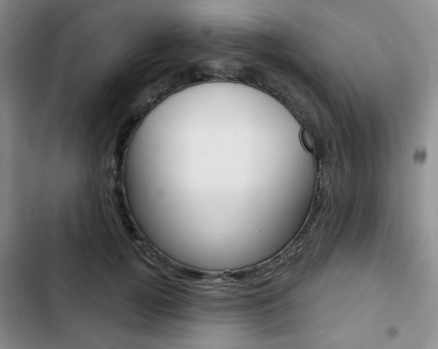 X0000102820752200808181024