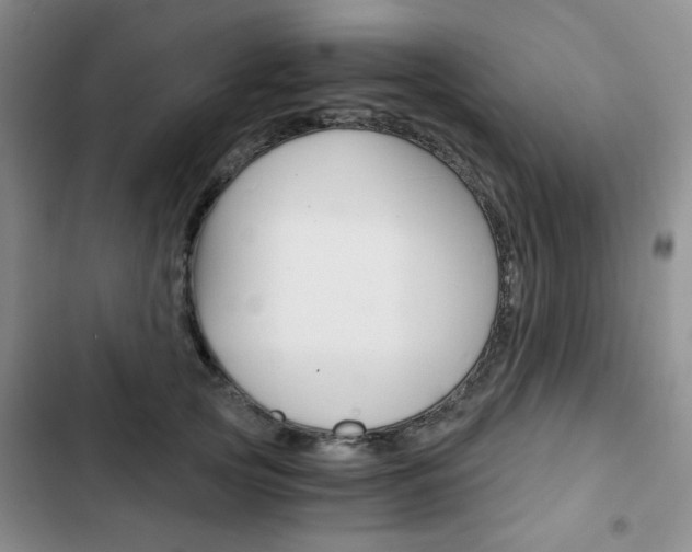 X0000102820753200808181024