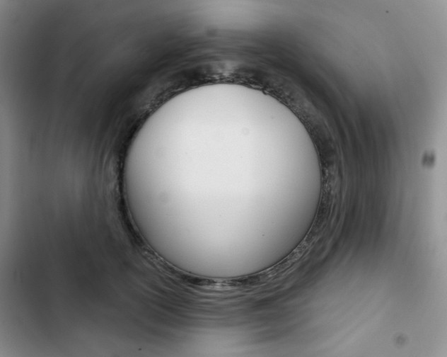 X0000102820754200808181025
