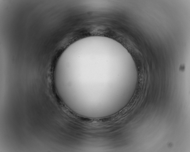 X0000102820755200808181025