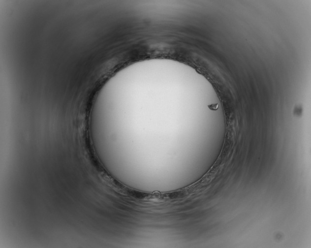 X0000102820756200808181025