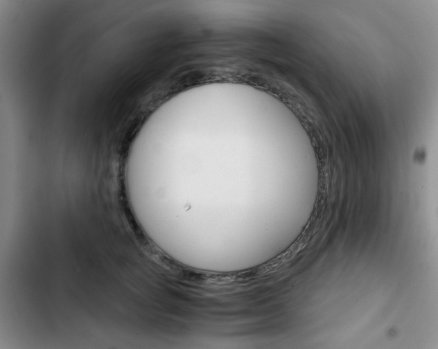 X0000102820757200808181025