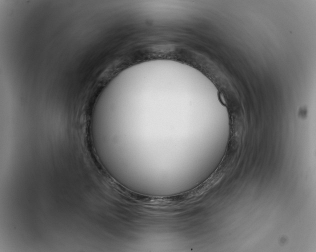 X0000102820758200808181025