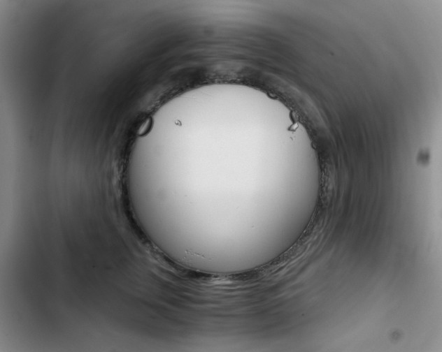 X0000102820759200808181025