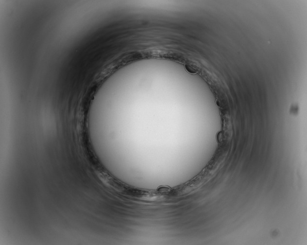X0000102820760200808181025