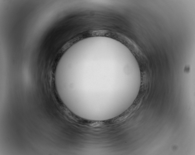 X0000102820761200808181025