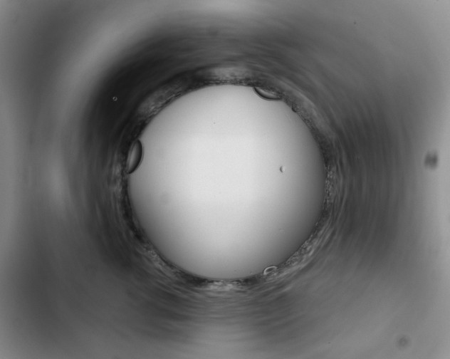X0000102820762200808181025