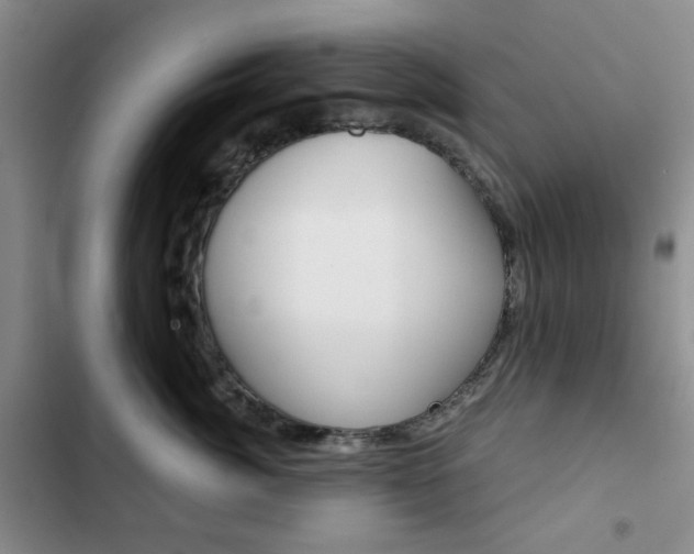 X0000102820764200808181025