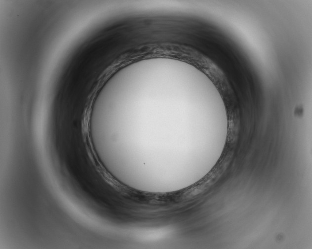 X0000102820765200808181025