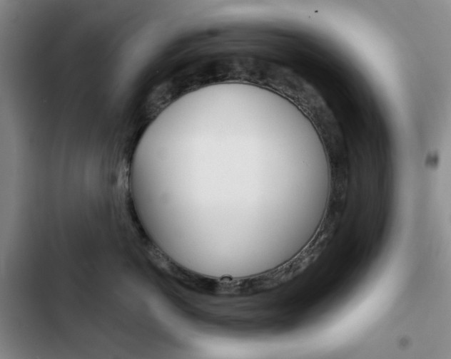 X0000102820766200808181025