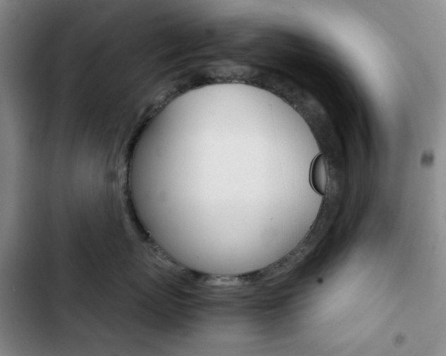 X0000102820767200808181025