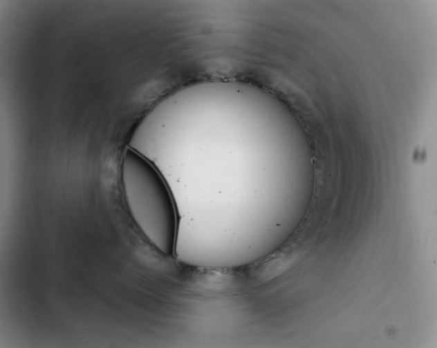 X0000102820768200808181025