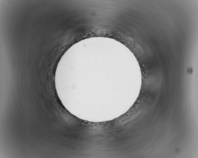 X0000102820769200808181024