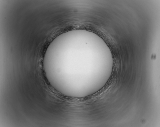 X0000102820770200808181024