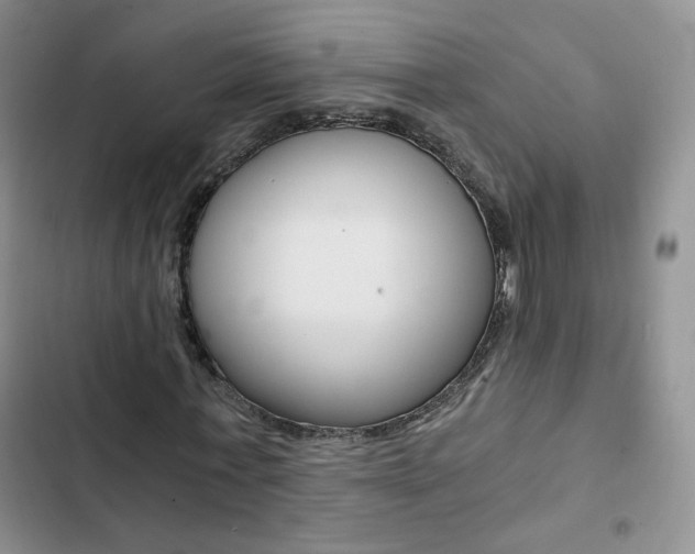 X0000102820771200808181024