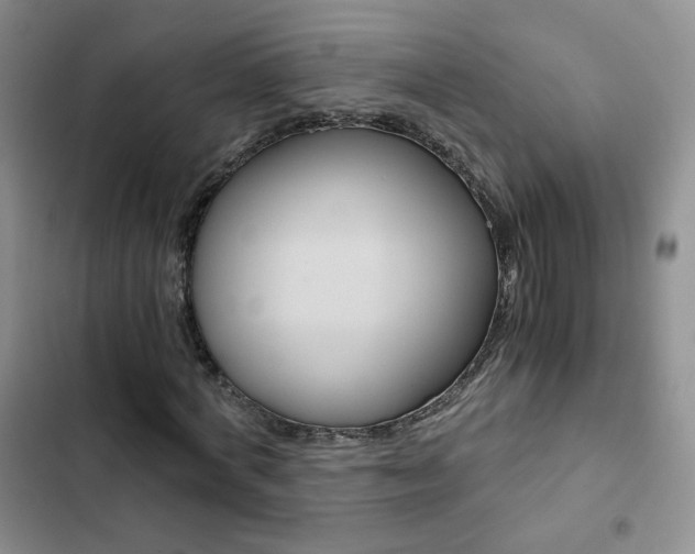 X0000102820772200808181024