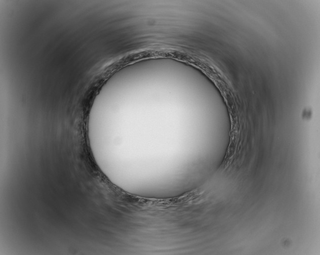 X0000102820773200808181024
