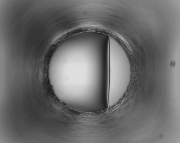 X0000102820775200808181024