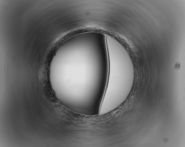 X0000102820776200808181024