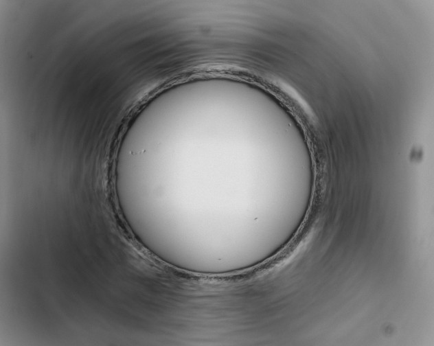 X0000102820777200808181024