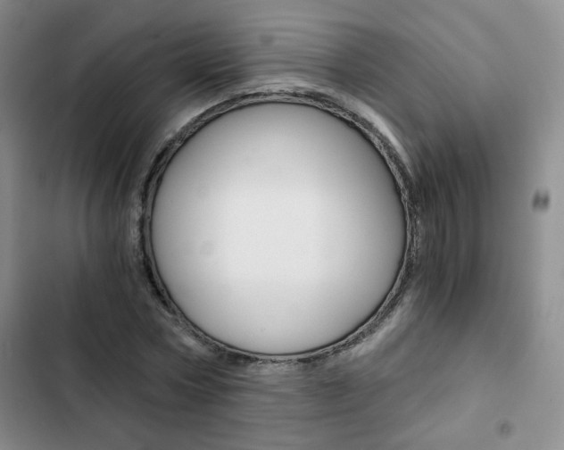 X0000102820778200808181024