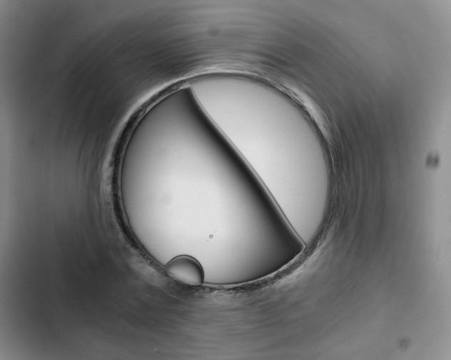X0000102820779200808181024