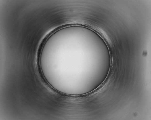 X0000102820780200808181024