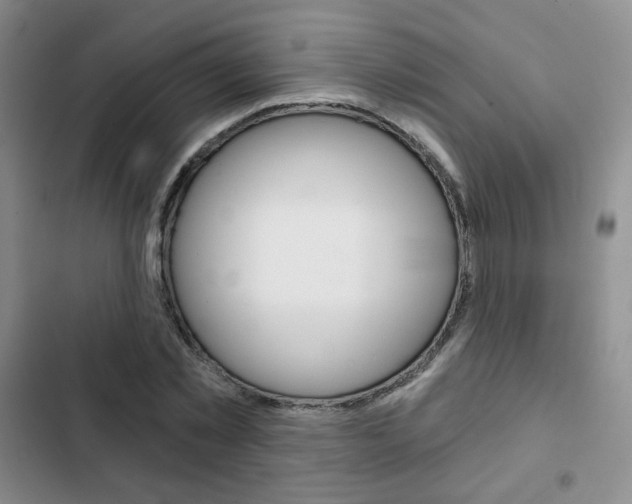 X0000102820781200808181024