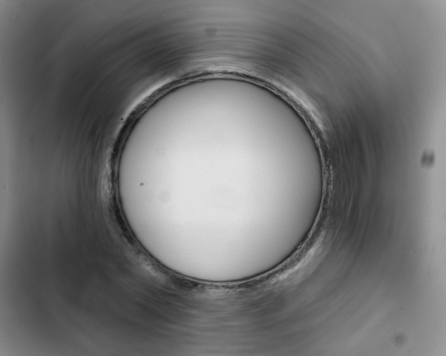 X0000102820782200808181024