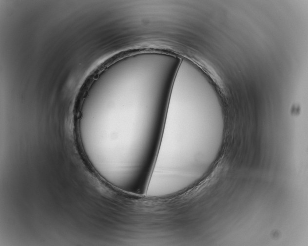 X0000102820784200808181024