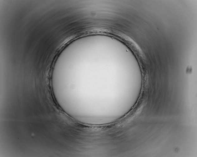 X0000102820785200808181024