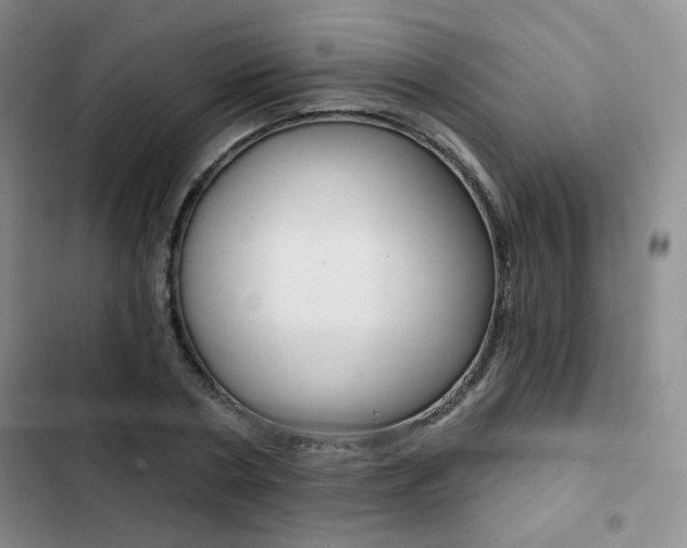 X0000102820786200808181024