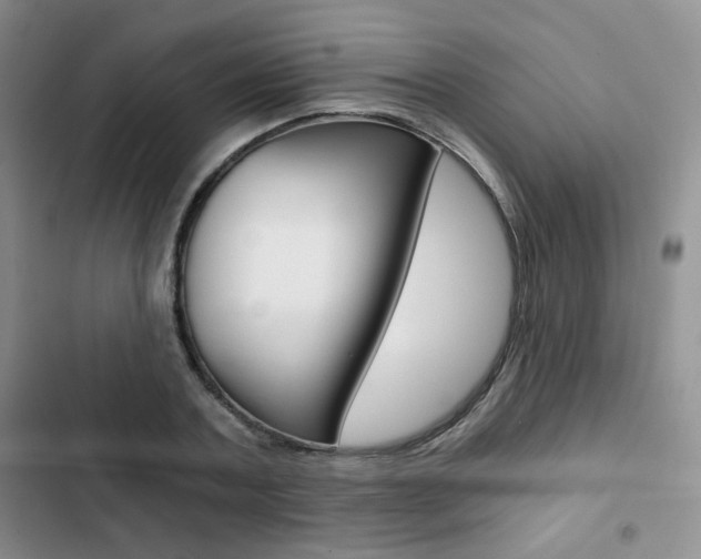 X0000102820787200808181024