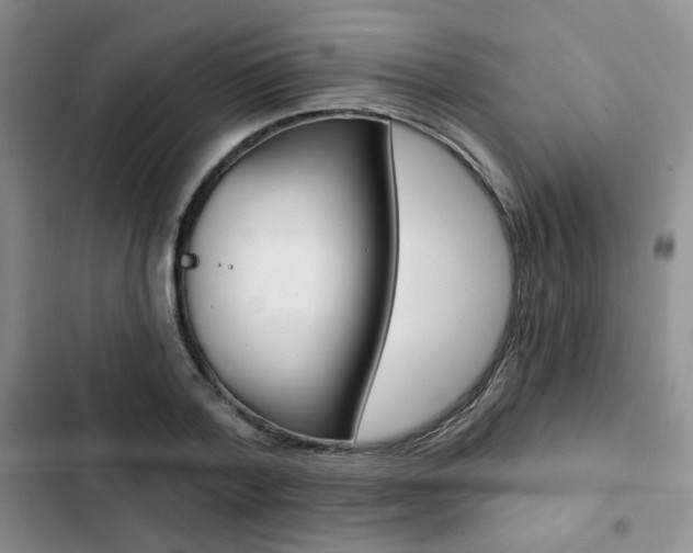 X0000102820788200808181024