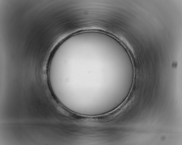 X0000102820789200808181024