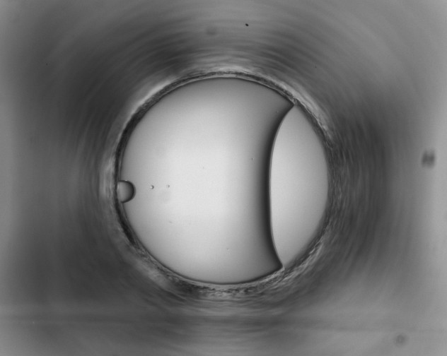 X0000102820790200808181024