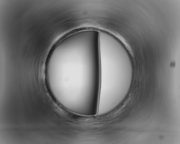 X0000102820791200808181024