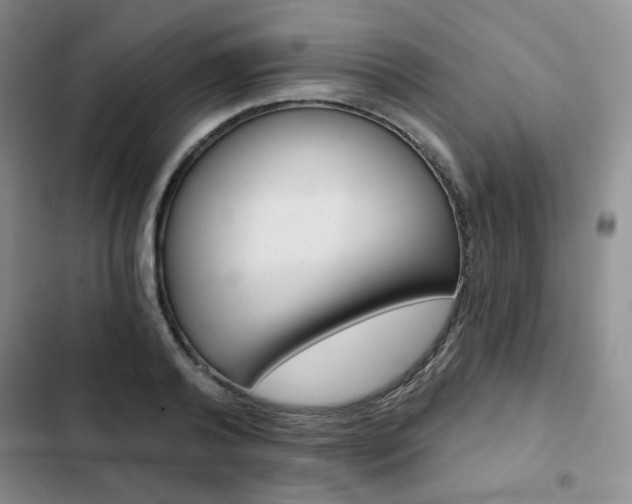 X0000102820792200808181024