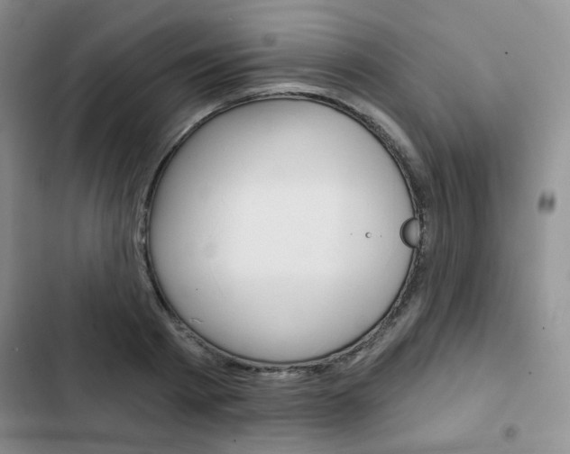 X0000102820793200808181024
