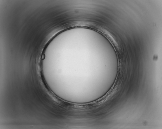 X0000102820794200808181024