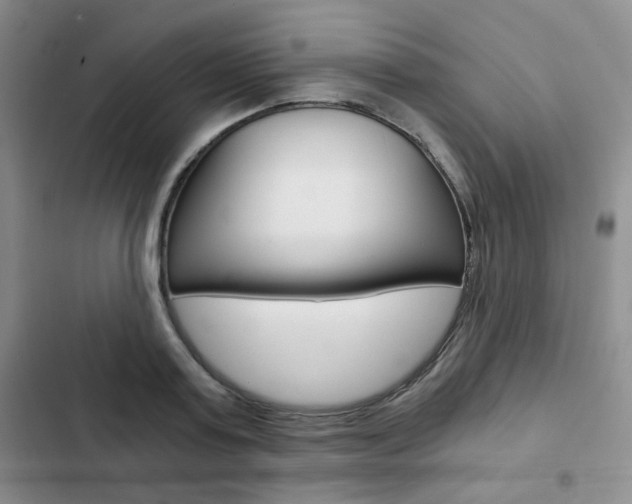 X0000102820795200808181024
