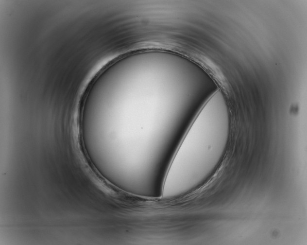 X0000102820796200808181023