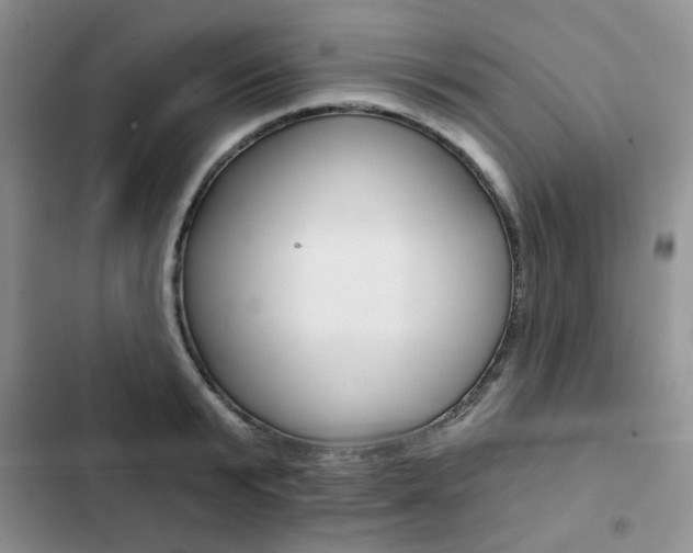 X0000102820799200808181023