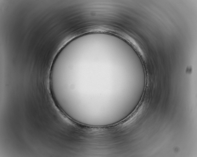 X0000102820802200808181023